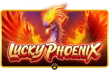 Ứng dụng xsqng hỗ trợ cá cược thể thao, casino và slot online